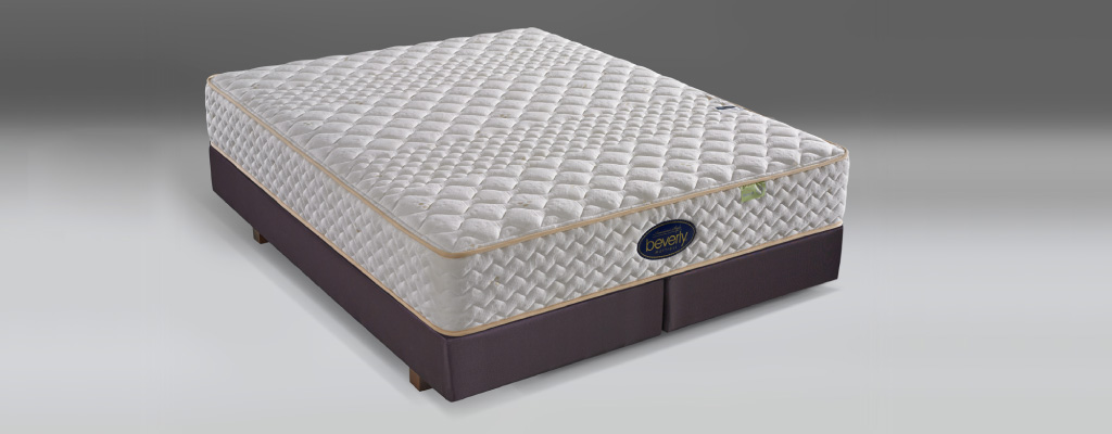 白宮系列 White House Series